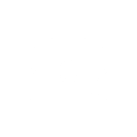 noun_bag_1550163